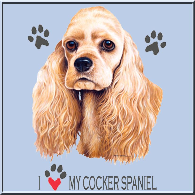 Love My Cocker Spaniel T Shirt S,M,L,XL,2X,3X,4X,5X 100% Cotton New 