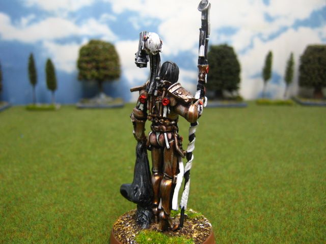 Warhammer DPS painted Inquisitor Daemon Huntress CH1262  