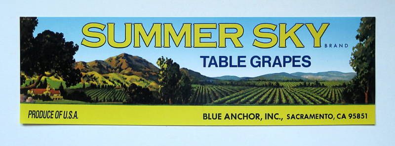 SUMMER SKY Old Grape Crate Label Sacramento CA  