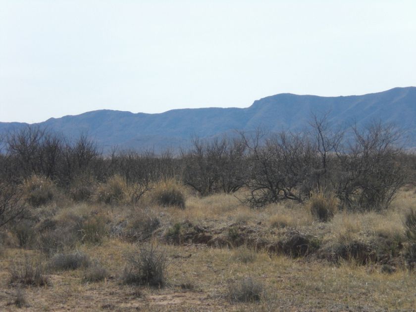 SOUTHERN ARIZONA~NICE 1.14 AC LOT~NO Doc fee $1,440 @ $90 per/Mo 