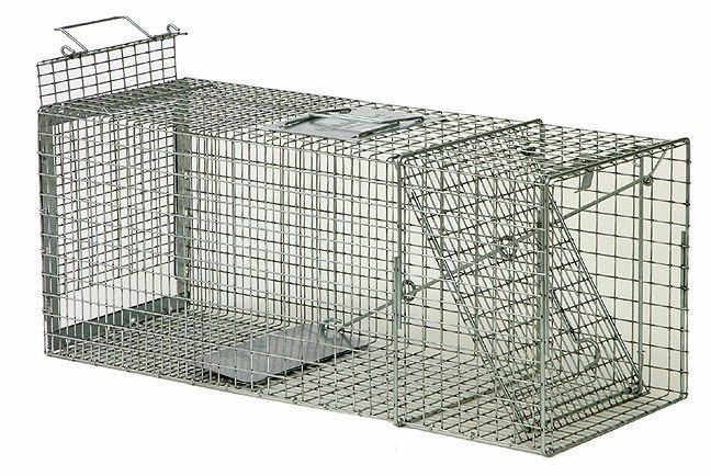 Safeguard Model 52830 Live Cage Trap Rear Release 30 x  