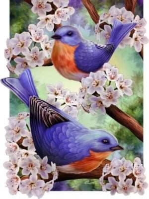 Spring Resting Bluebirds Lg House Flag  