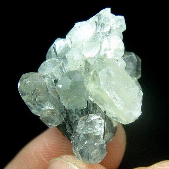 STIBNITE crystal enwraped by CALCITE,mineral C1250  