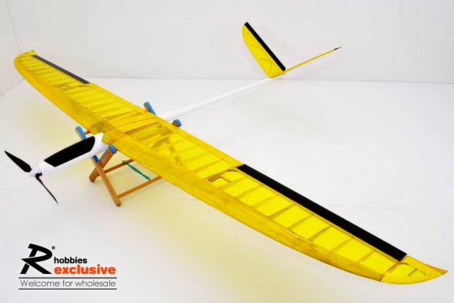 3Ch RC EP 1.8M Passer X Motor ARF R/c Sailplane Glider  