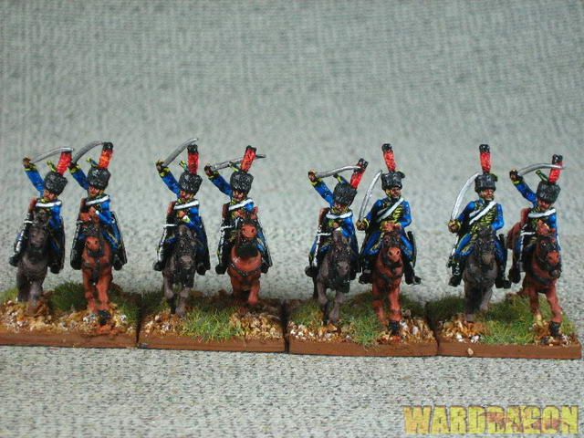 Napoleonic WDS painted French Hussar Colpack r86  