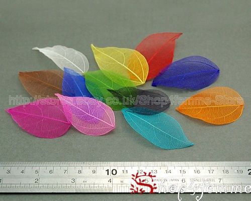 12 Colors Natural Skeleton Leaves (Small)   Nail Art  