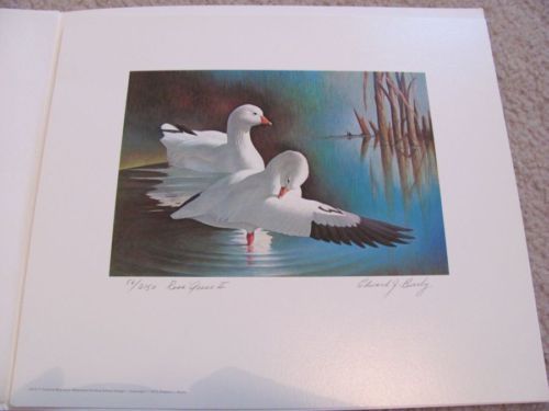 RW37 Federal Duck Print 1st Edition #RW37PL0 BW  