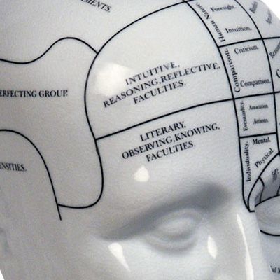 Medical Fowler Phrenology Head Porcelain Neurologist Do  