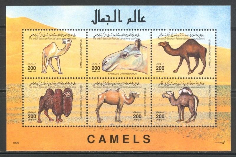 CAMELS ON LIBYA 1996 Sc 1554 MNH  