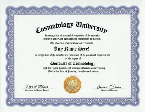 COSMETOLOGY DIPLOMA BEAUTY SCHOOL SALON CAREER GAG GIFT  