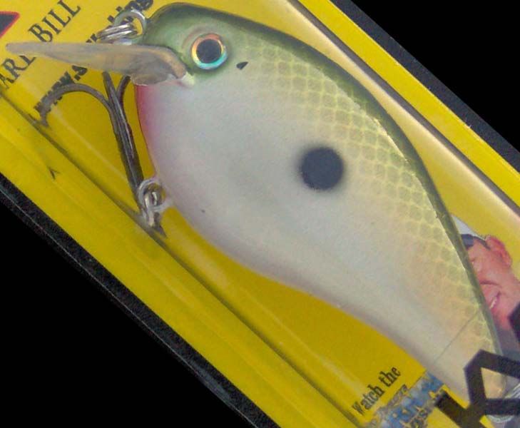 Strike King KVD 1.5 ~ Square Bill Crankbait ~ No.517 Tennessee Shad 