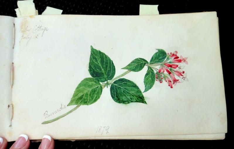 1875 antique DROWNE AUTOGRAPH BK providence ri FRAKTUR ART DRAWING 