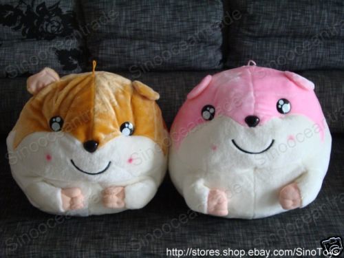 COUPLE OF HUGE FAT Hamtaro GOLDEN HAMSTER MALE FEMALE  